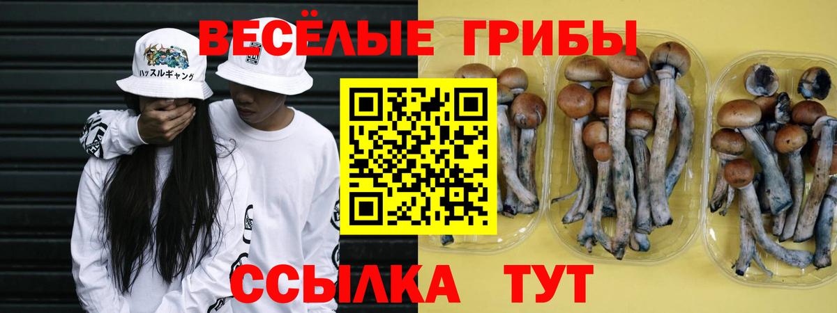Жигулёвск  Псилоцибиновые грибы Magic Shrooms  Вход с VPN 